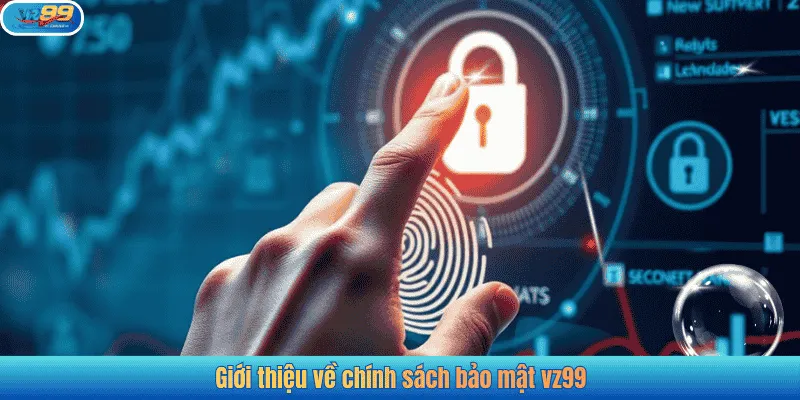 Giới thiệu về chính sách bảo mật vz99